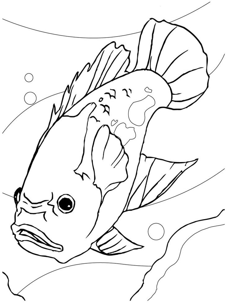 Free printable fish coloring pages for kids fish coloring page animal coloring pages coloring pages