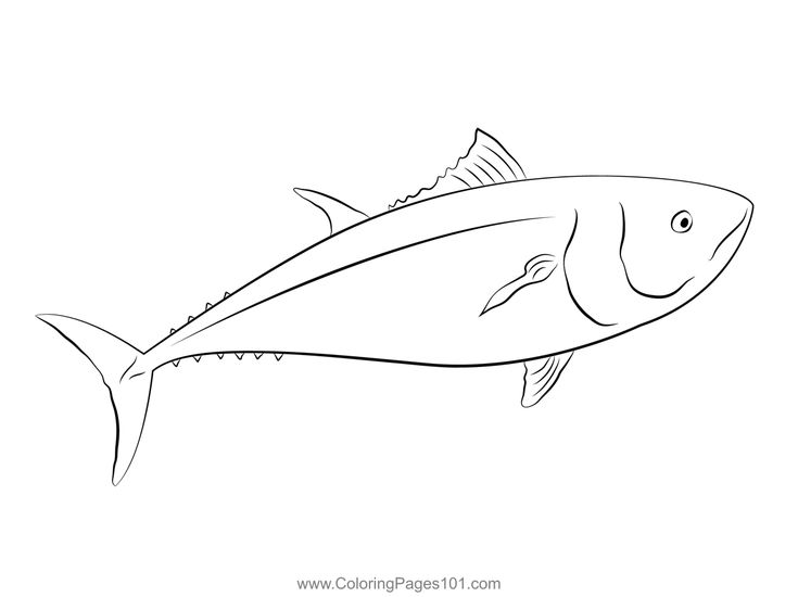 Dad birthday tuna fishing coloring page dad birthday coloring pages tuna fishing