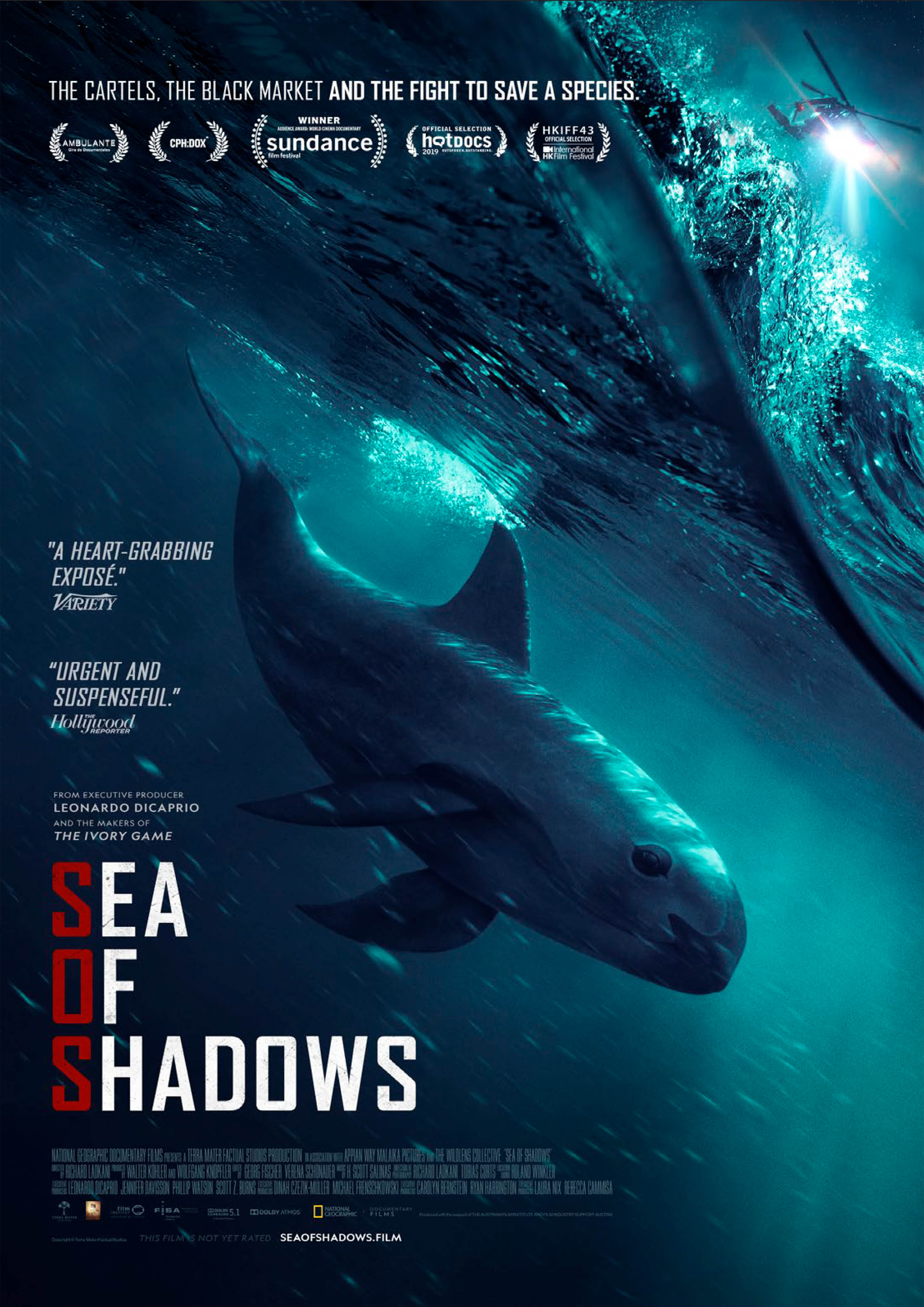 Sea of shadows