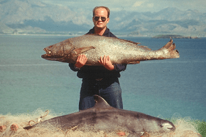 Mexico launches plan to delimitate reserve of vaquitas â nbc los angeles