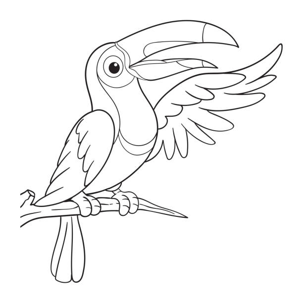 Coloring pages or books for kids cute toucan cartoon illustration stock illustration