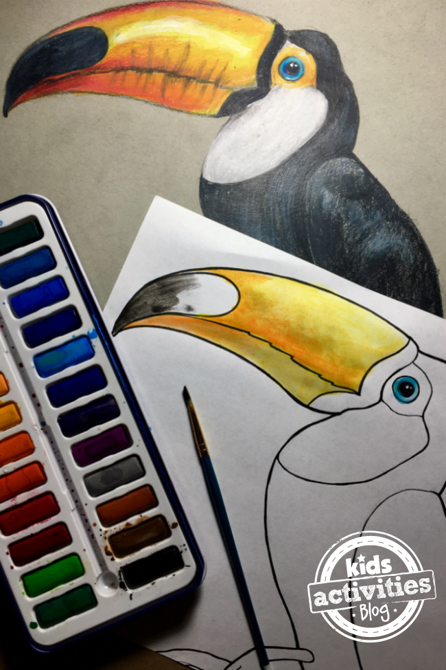 Toucan coloring pages for kids and adults kids activities blog