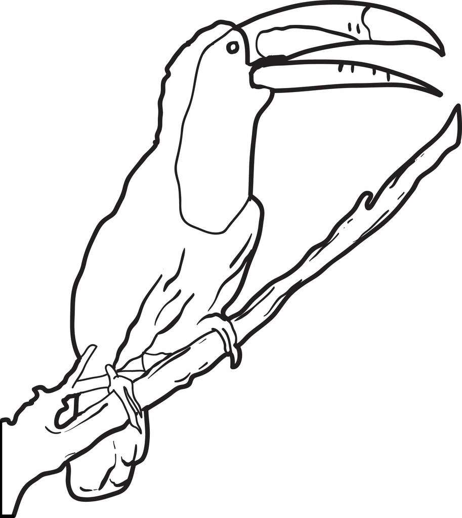 Printable toucan coloring page for kids â