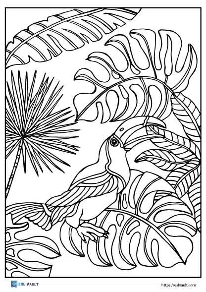 Free printable toucan coloring pages