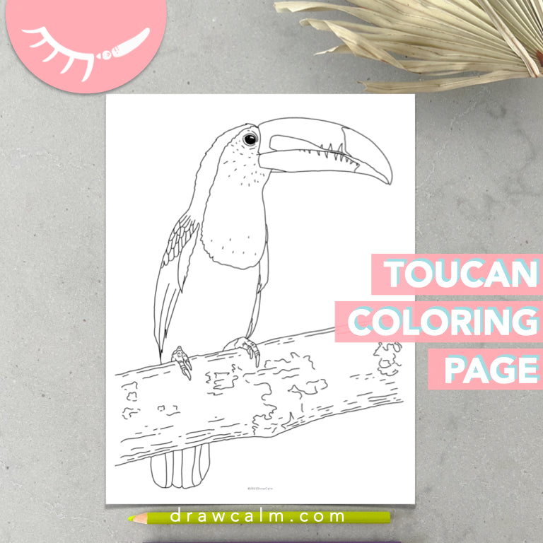 Coloring page of toucan â draw calm