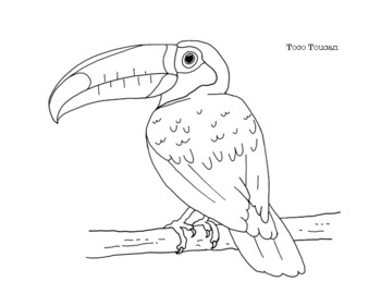 Toco toucan coloring page by mama draw it tpt