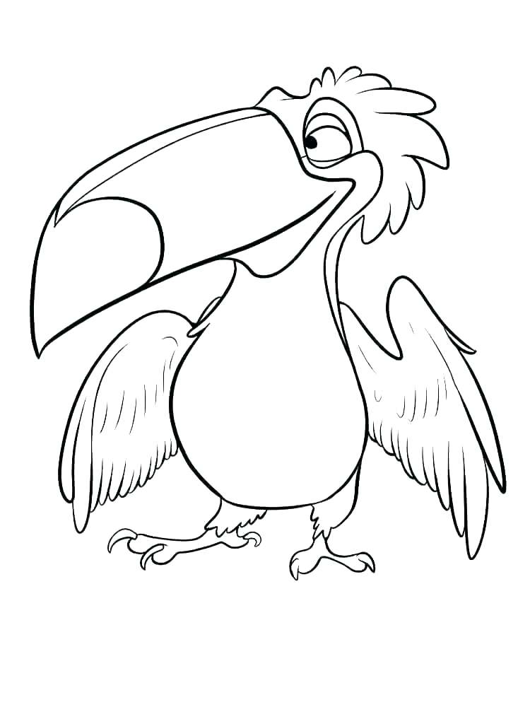 Toucan coloring pages