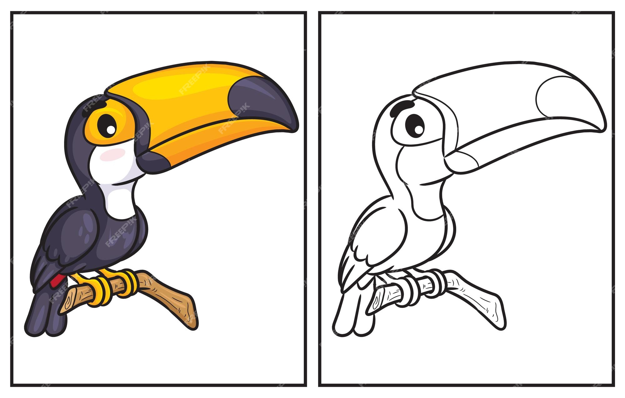 Premium vector coloring book cute toucan coloring page and colorful clipart character vector cartoon illustration