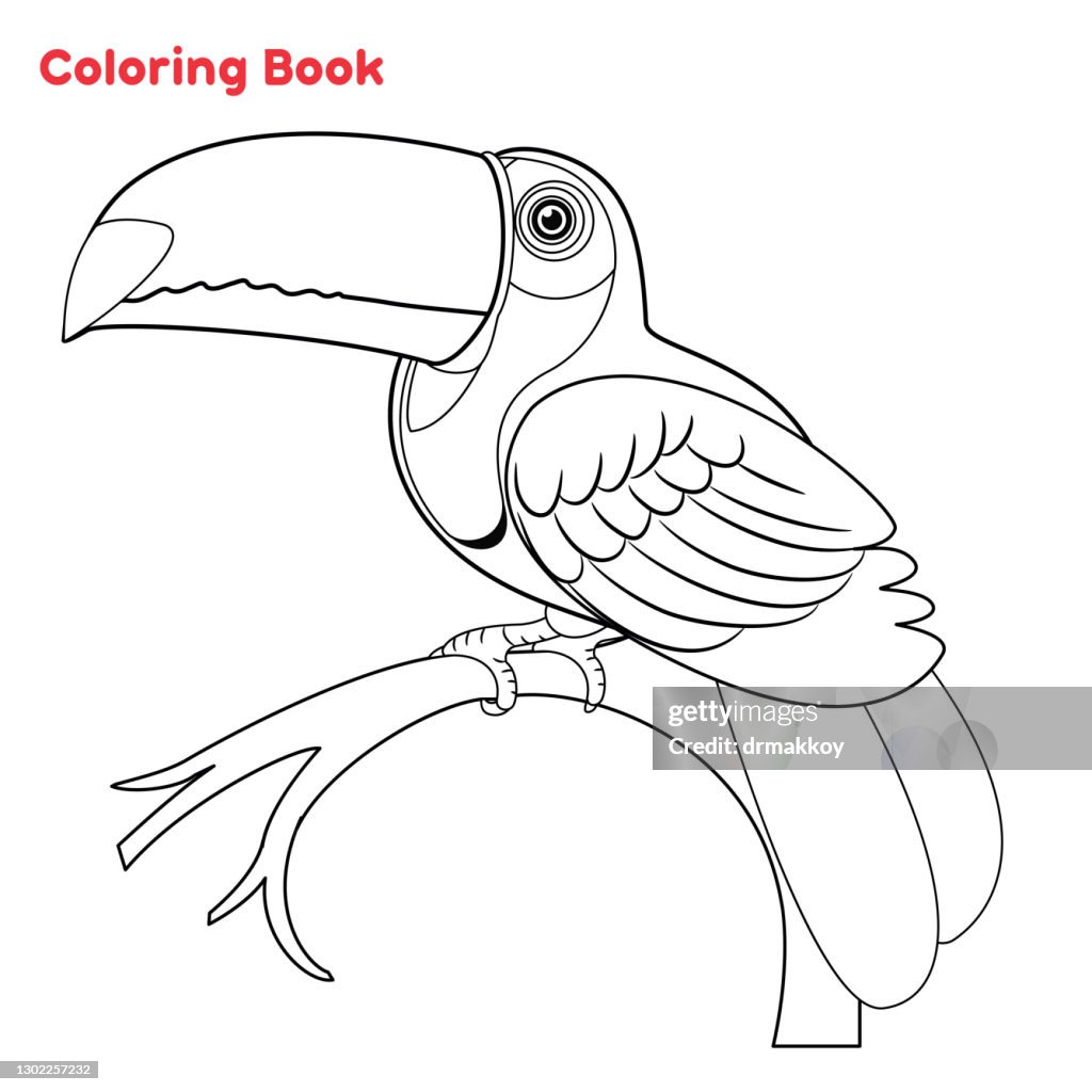 Cute toucan coloring book page high