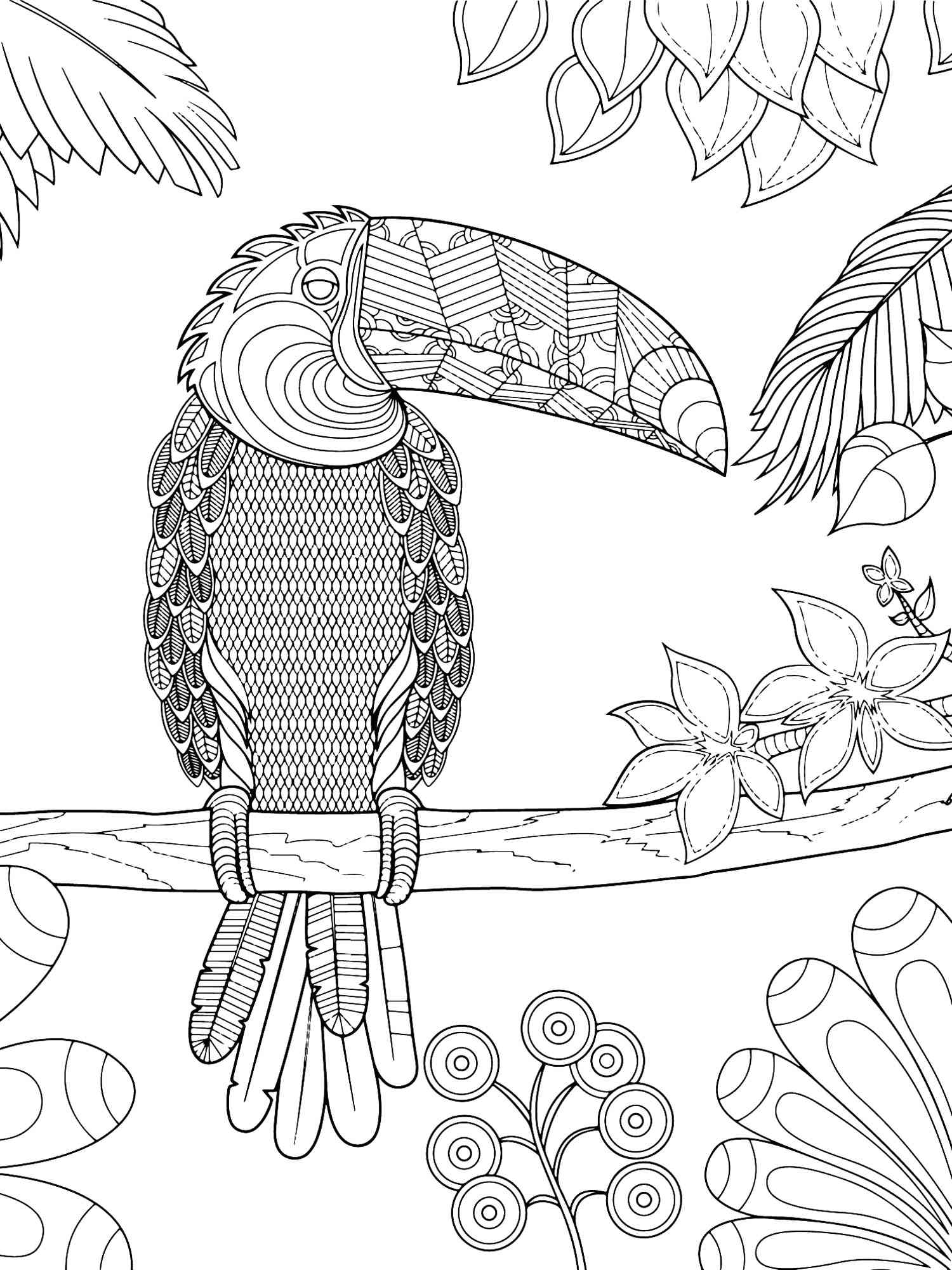 Toucan coloring pages for adults