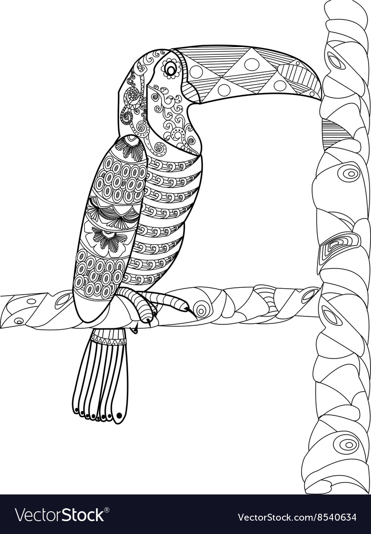 Toucan coloring book for adults royalty free vector image