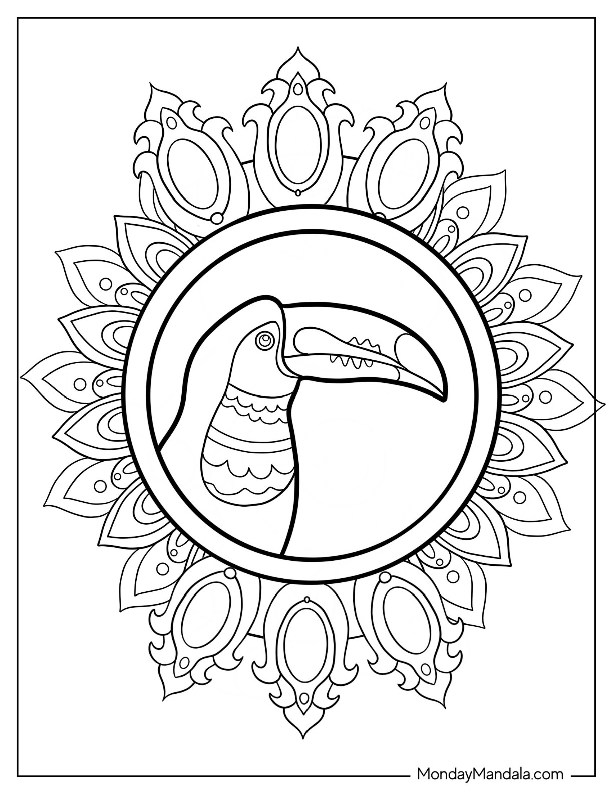 Toucan coloring pages free pdf printables