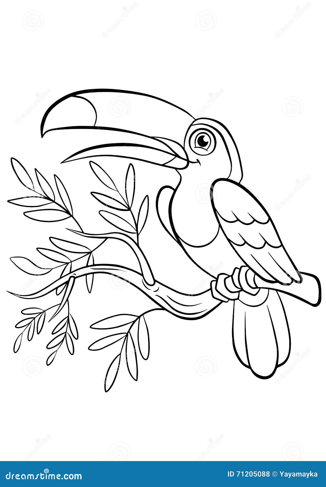 Coloring pages birds little cute toucan stock vector