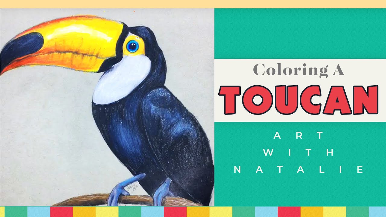 Toucan coloring pages for kids and adults kids activities blog