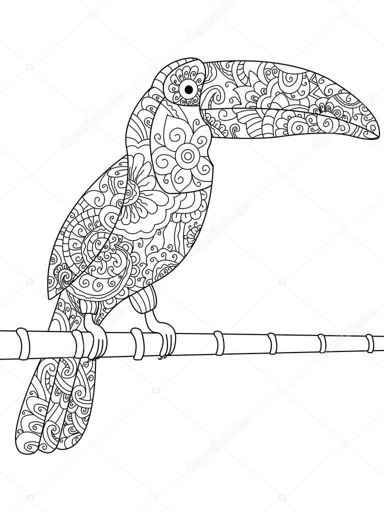 Toucan coloring book vector for adults stock vector by toricheksgmail