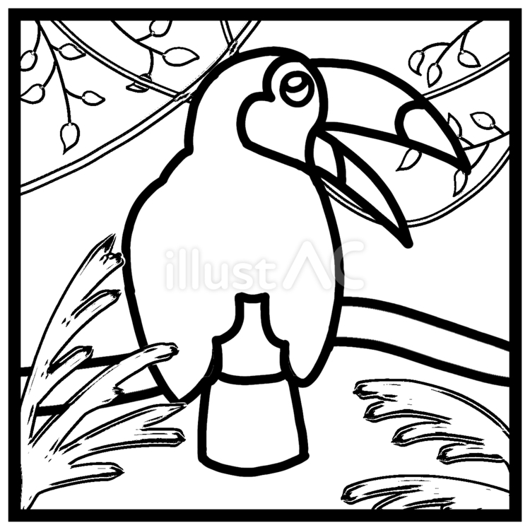 Free vectors toco toucan coloring page