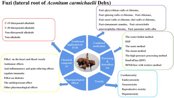 Chemical constituents pharmacological effects toxicology processing and patibility of fuzi lateral root of aconitum carmichaelii debx a review