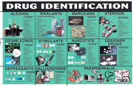 Chapdrug id toxicology