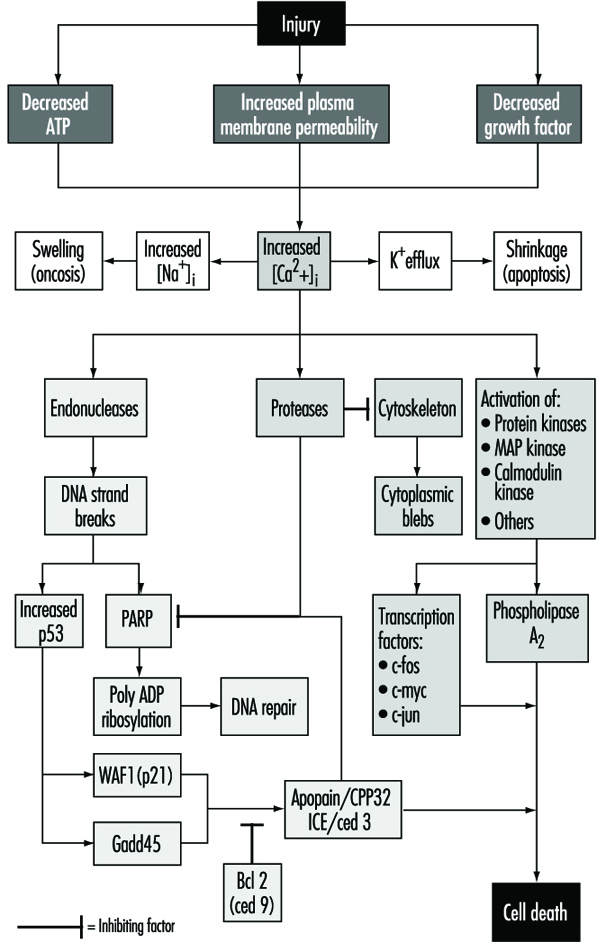 Toxicology