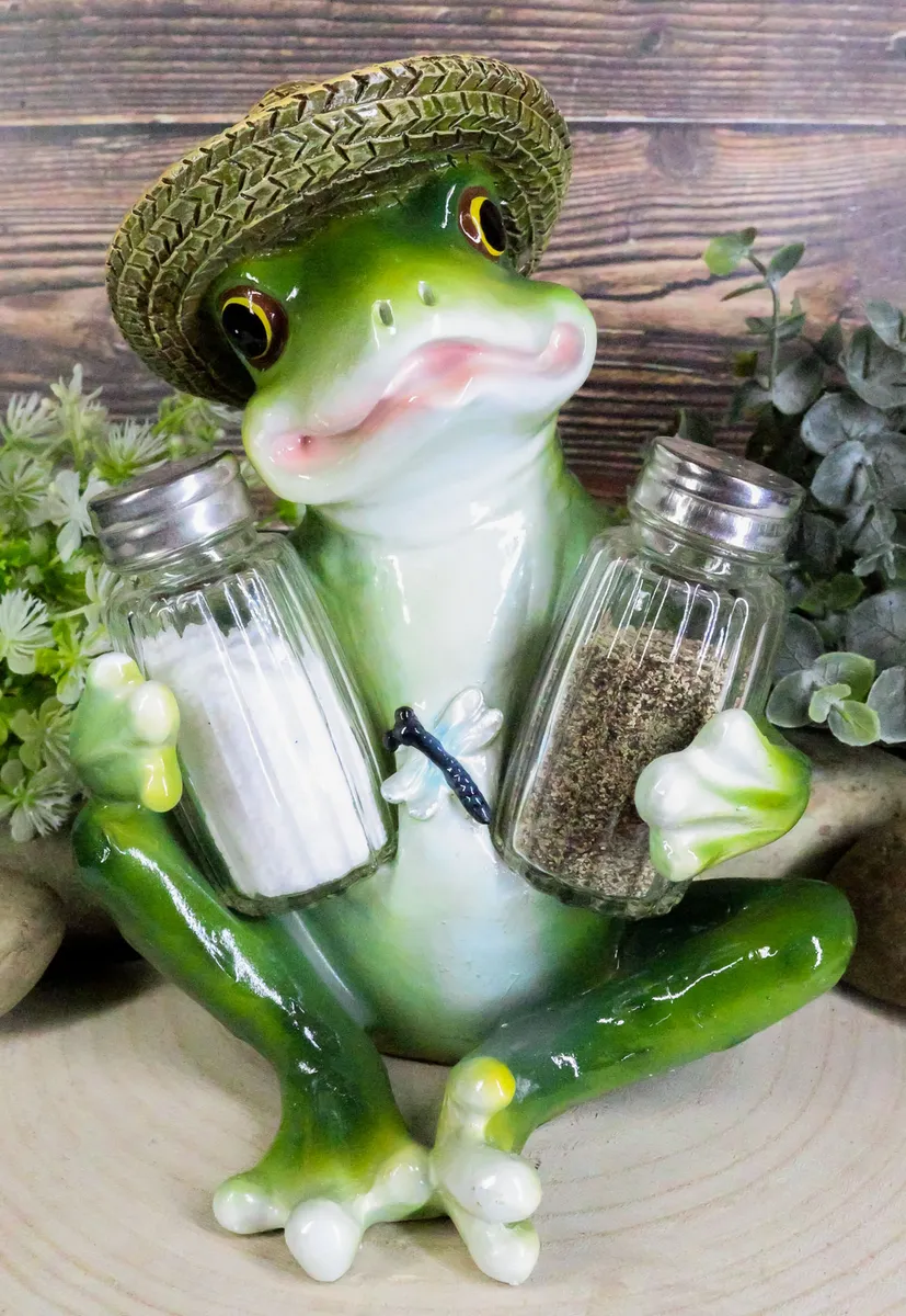 Decorative country frog dragonfly glass salt and pepper shaker set