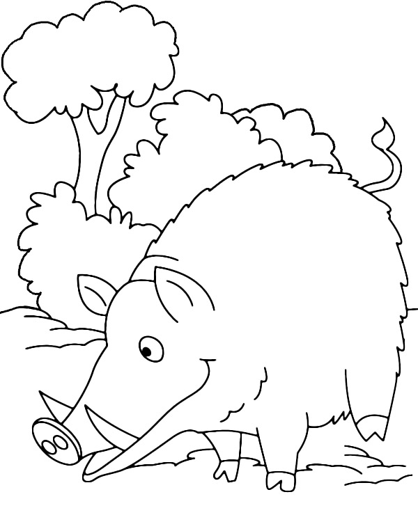 Print wild boar coloring page