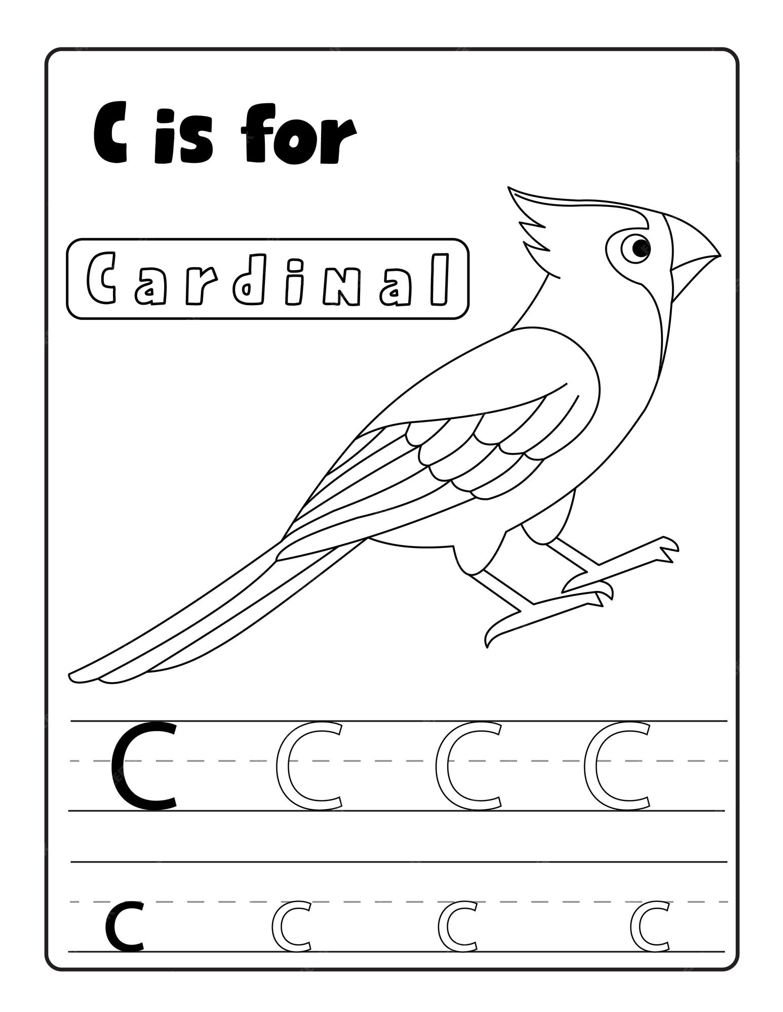 Premium vector alphabetical birds coloring and letter tracing pages with name