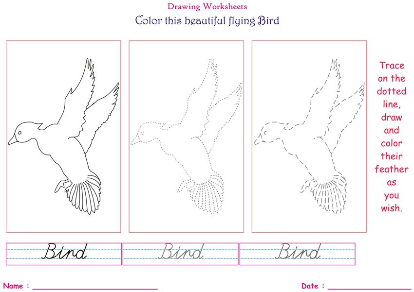 Birds coloring pages for kids