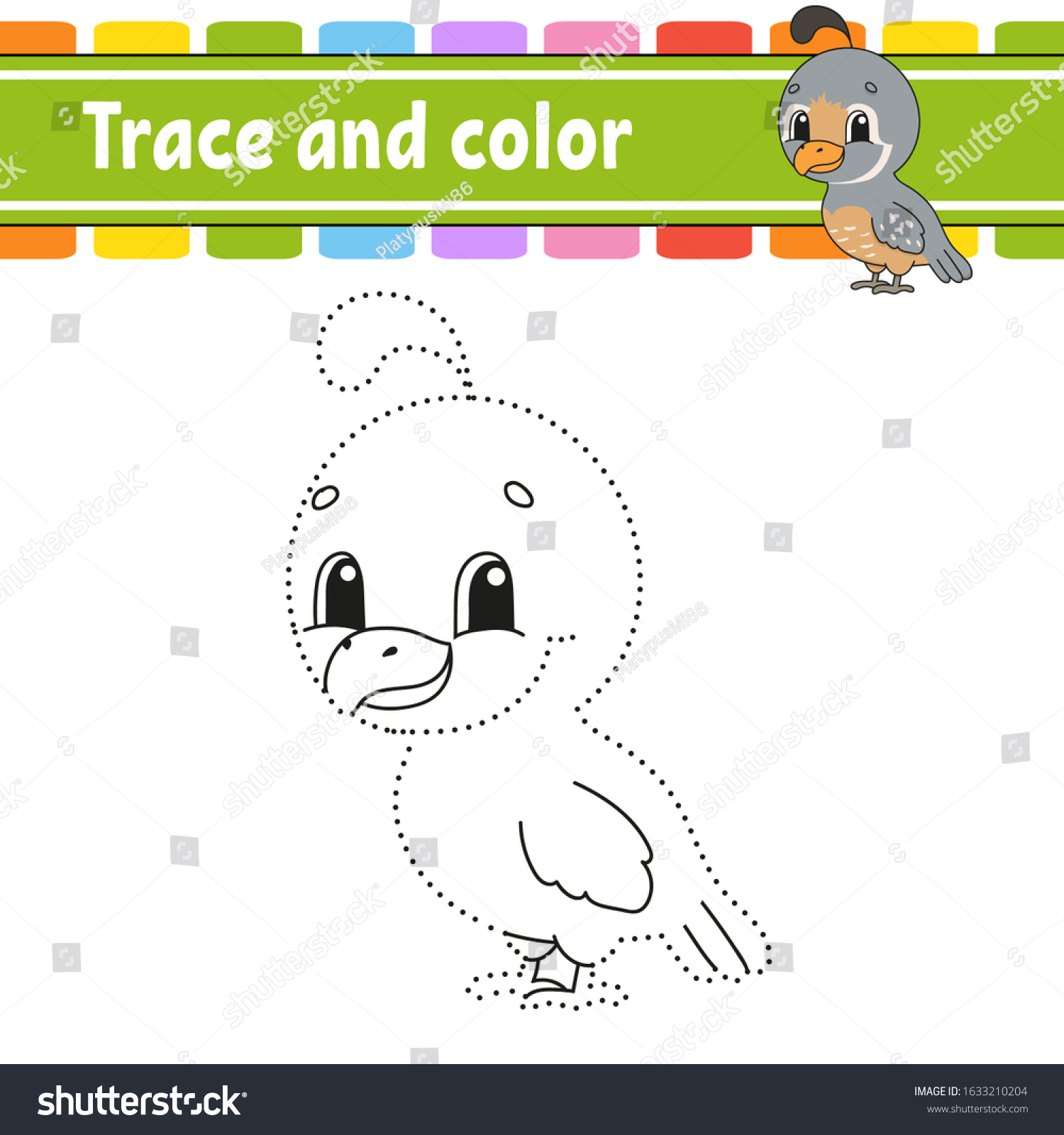 Trace color quail bird coloring page stock vector royalty free