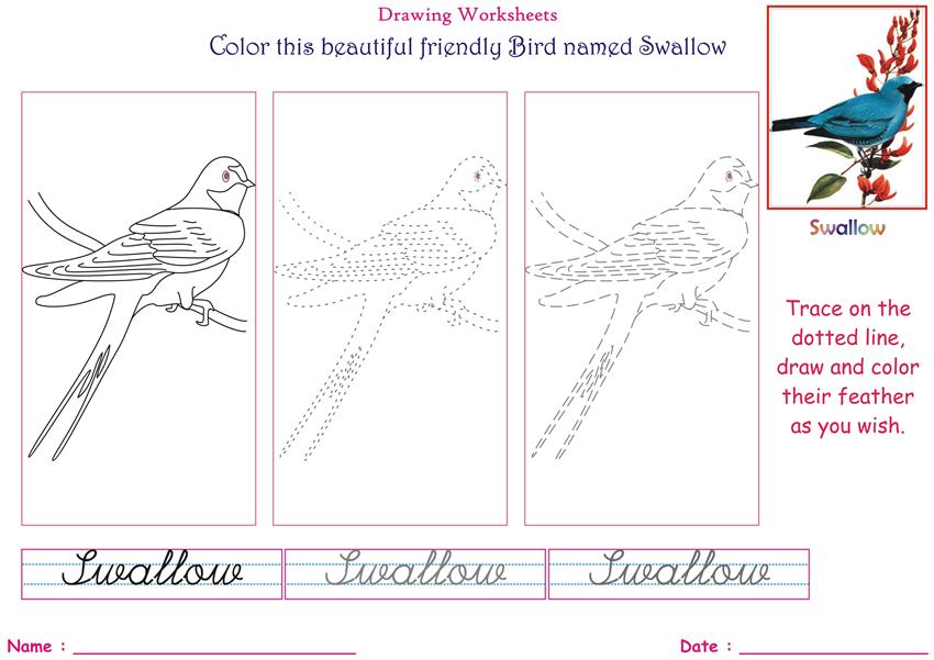 Birds coloring pages for kids