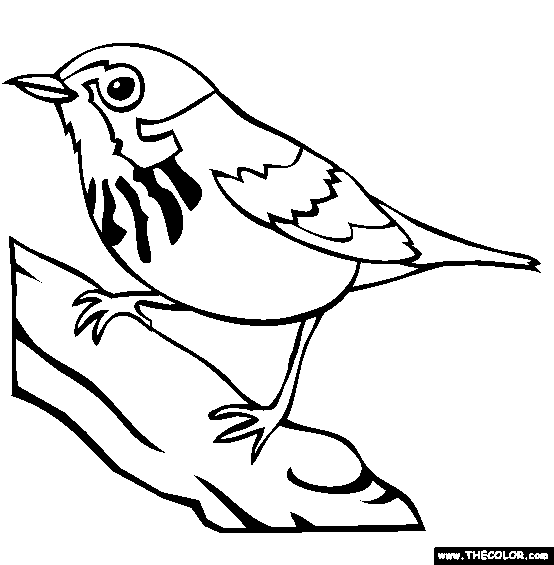 Bird online coloring pages