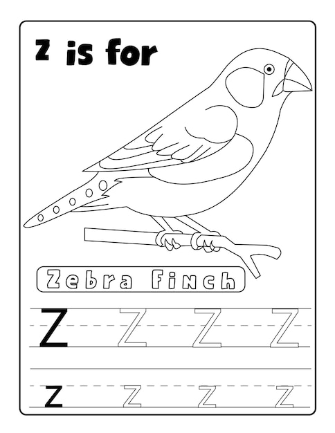 Premium vector alphabetical birds coloring and letter tracing pages with name