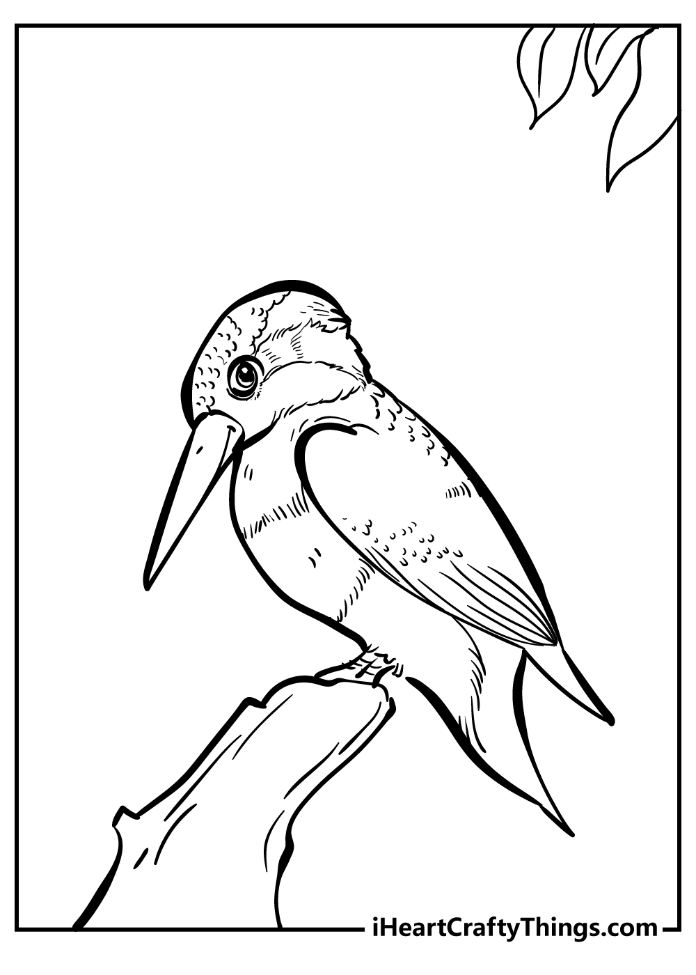 Bird coloring pages free printables