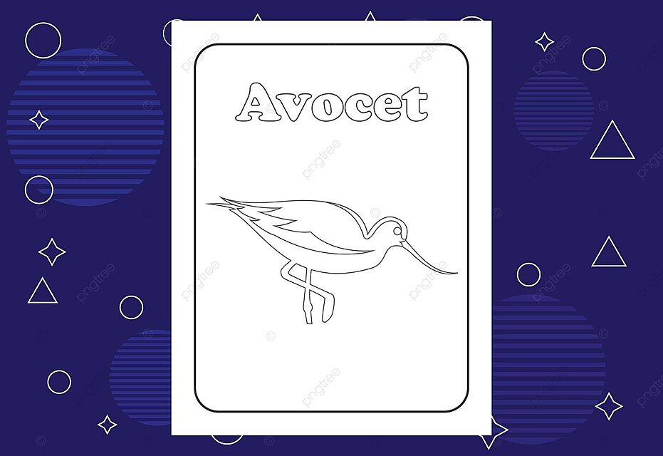 Vector illustration of bird coloring pages or books for children vector page print zoo png and vector with transparent background for free download