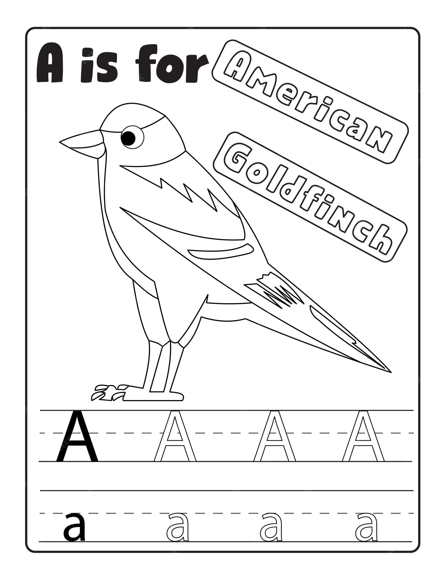 Premium vector alphabetical bird coloring and alphabet tracing pages