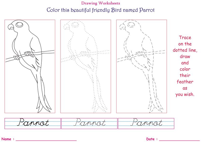 Birds coloring pages for kids