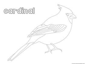 Bird trace and color printables colouring printables bird coloring pages bird patterns