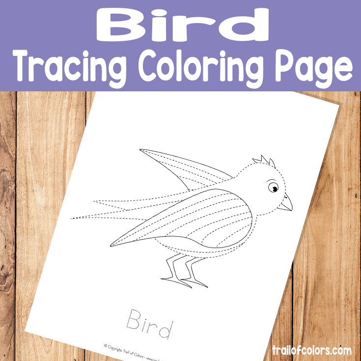 Printable bird tracing coloring page