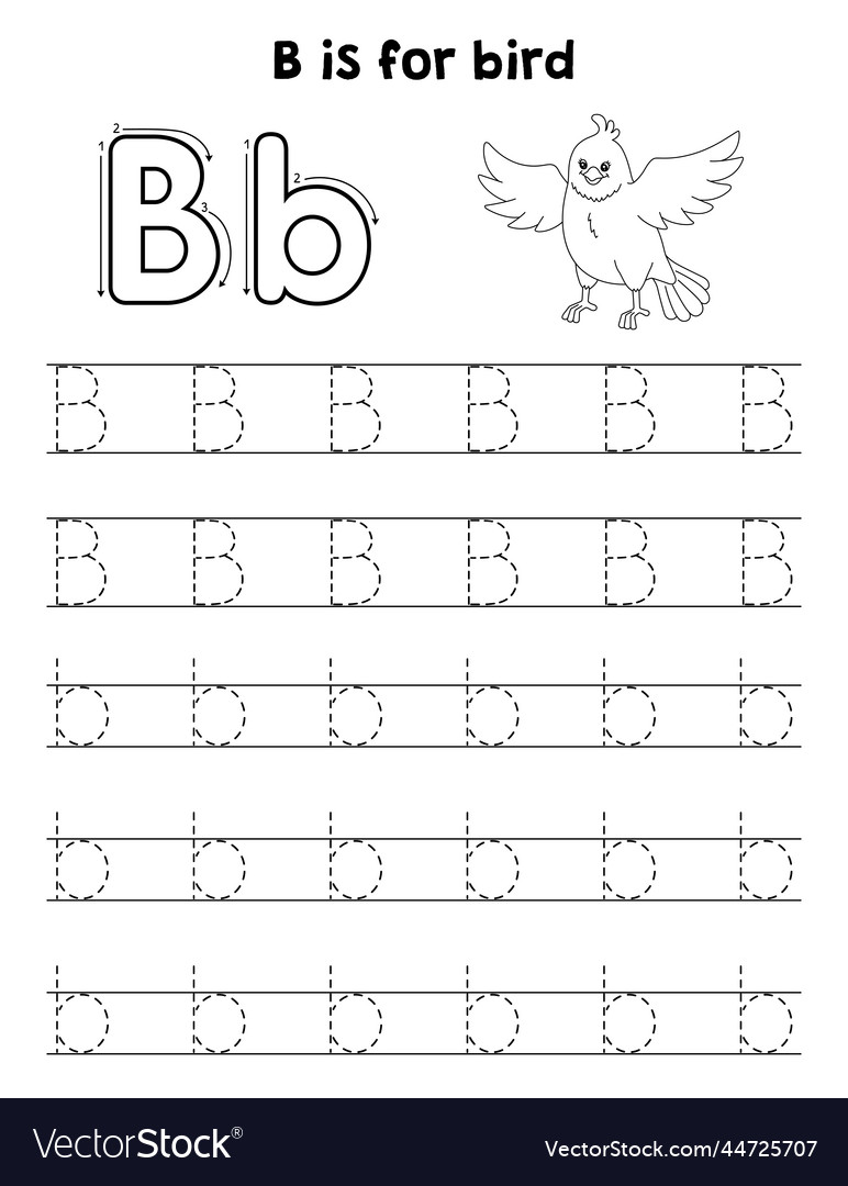 Bird animal tracing letter abc coloring page b vector image