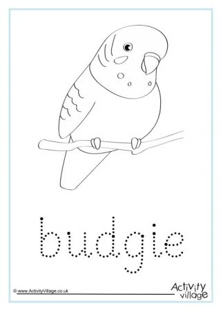 Bird word tracing