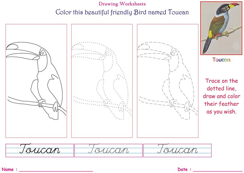 Birds coloring pages for kids