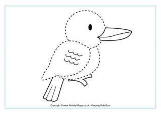 Bird tracing pages