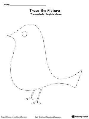 Free bird picture tracing bird pictures kindergarten drawing bird template