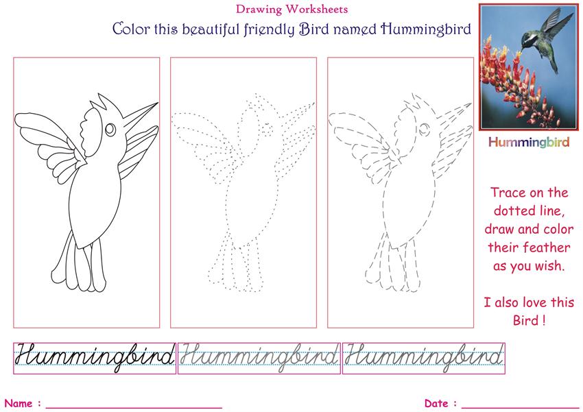 Birds coloring pages for kids