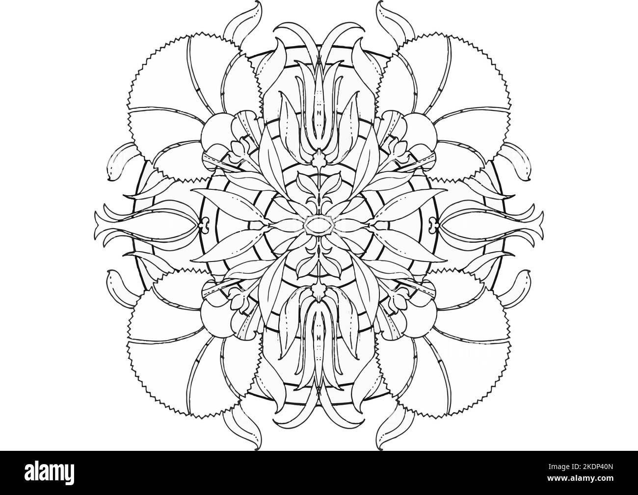 Adult coloring pages black and white stock photos images