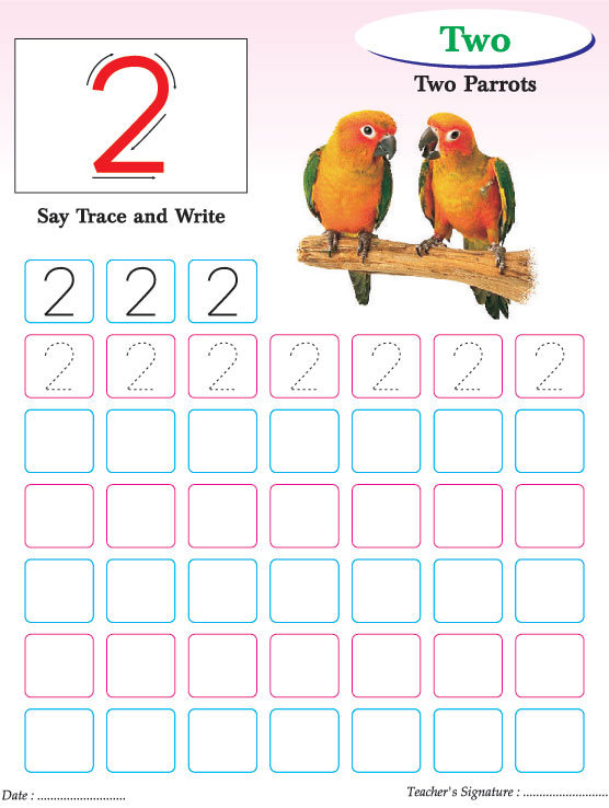 Numbers writing practice worksheet