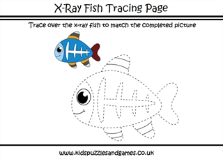 X ray fish trace and lour