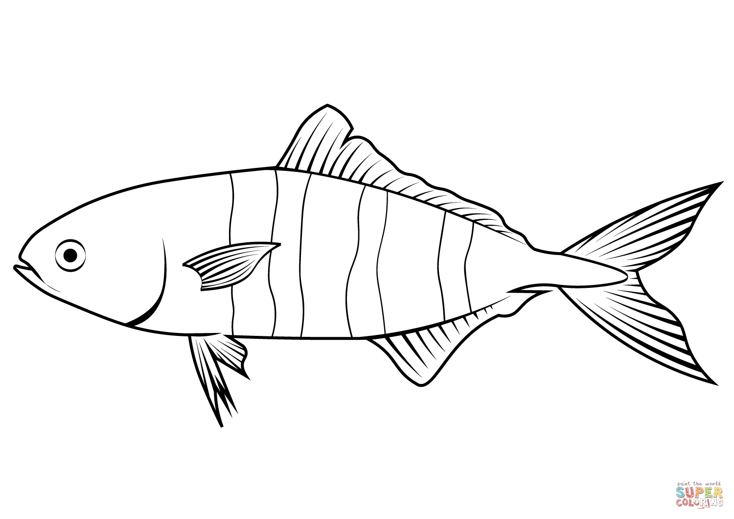 Pilot fish naucrates ductor coloring page free printable coloring pages