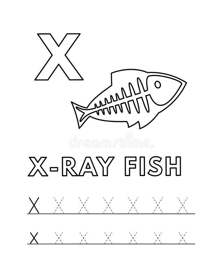 Tracing fish stock illustrations â tracing fish stock illustrations vectors clipart