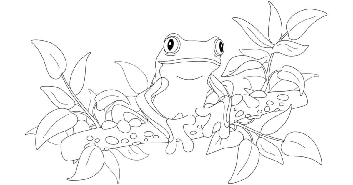 Frog coloring pages drawings