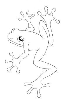 Free printable frog coloring pages for kids frog coloring pages frog drawing frog art